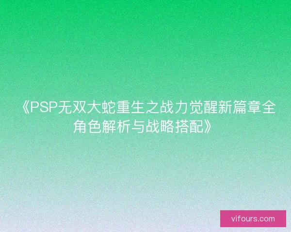 《PSP无双大蛇重生之战力觉醒新篇章全角色解析与战略搭配》