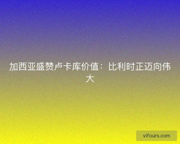 加西亚盛赞卢卡库价值：比利时正迈向伟大
